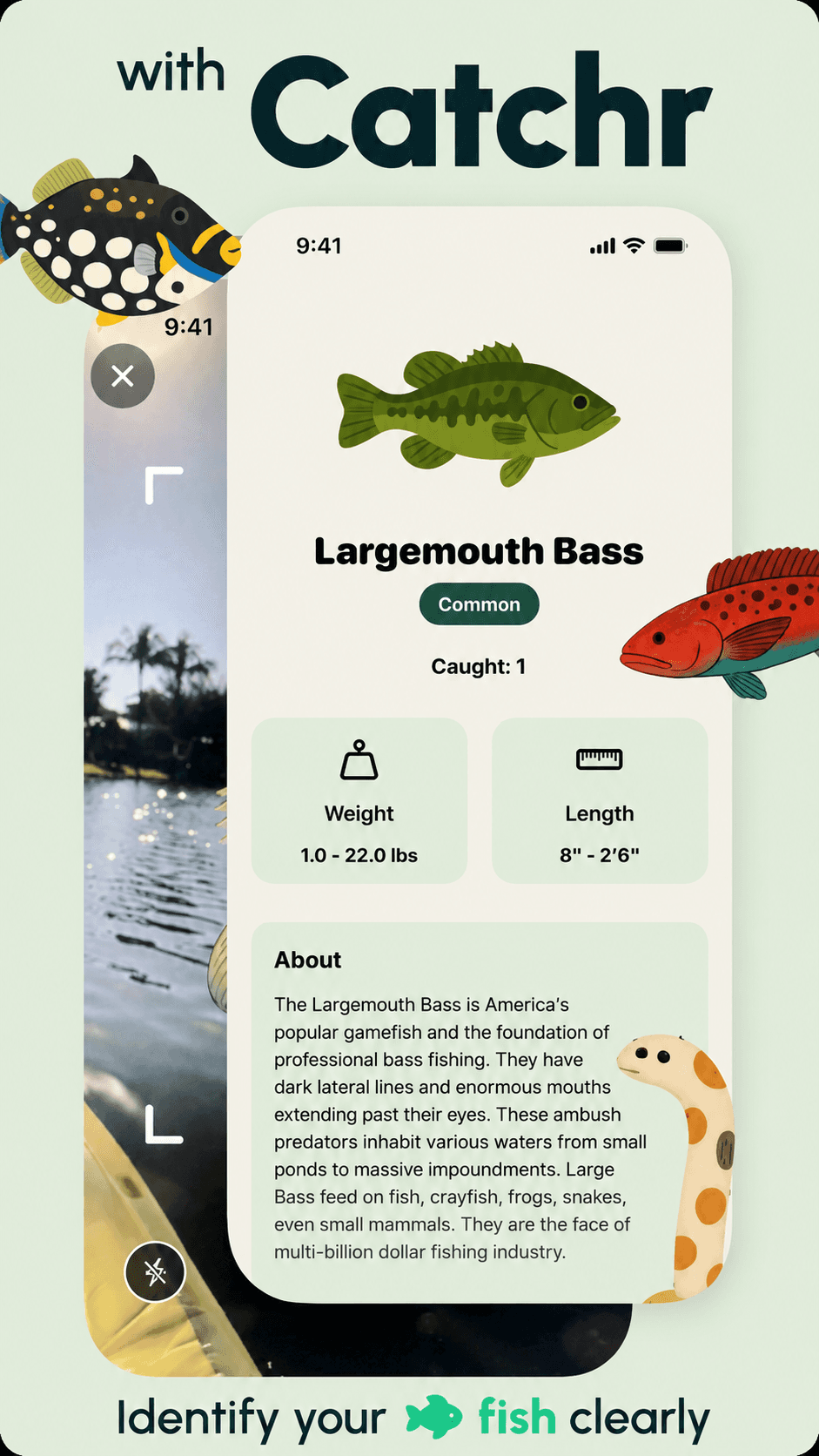 Fish ID App Store screenshot style