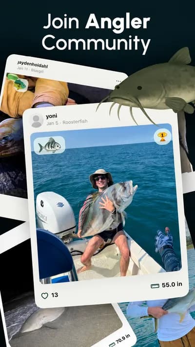 Fish ID screenshot style