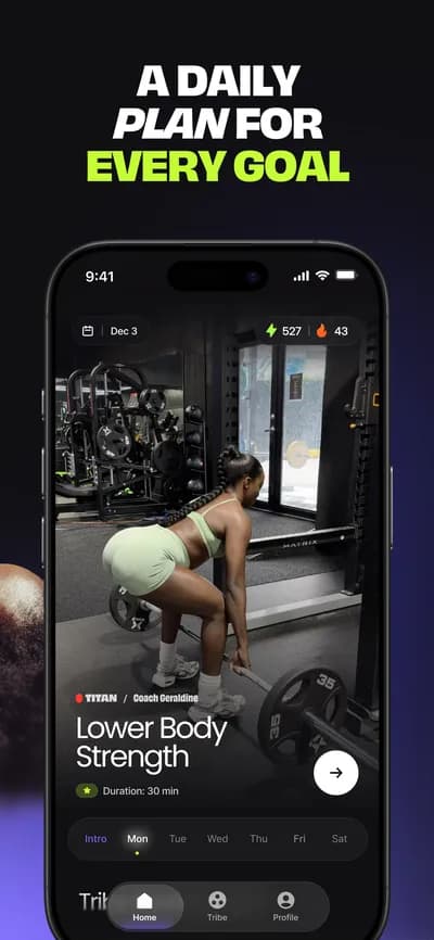 OneMor screenshot style