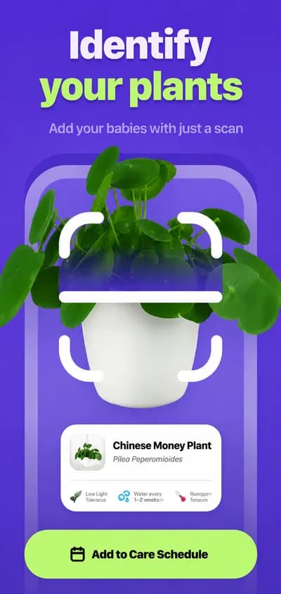 Plants screenshot style