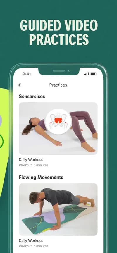 Senses screenshot style